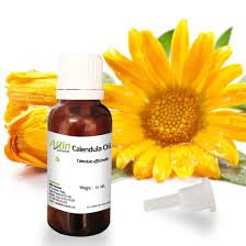 Calendula Oil